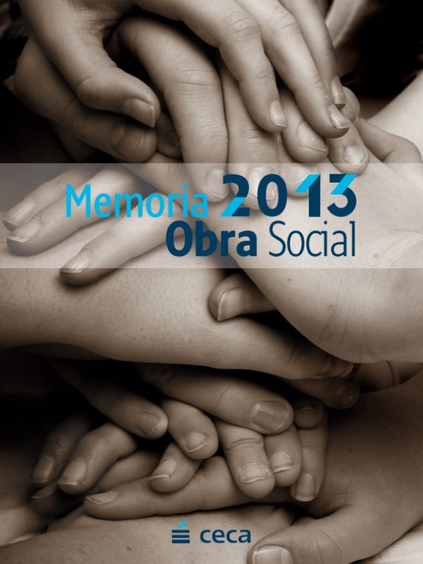 Social Work Report 2013