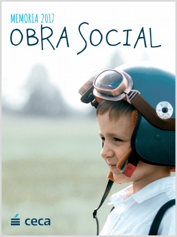 Social Work Report 2017