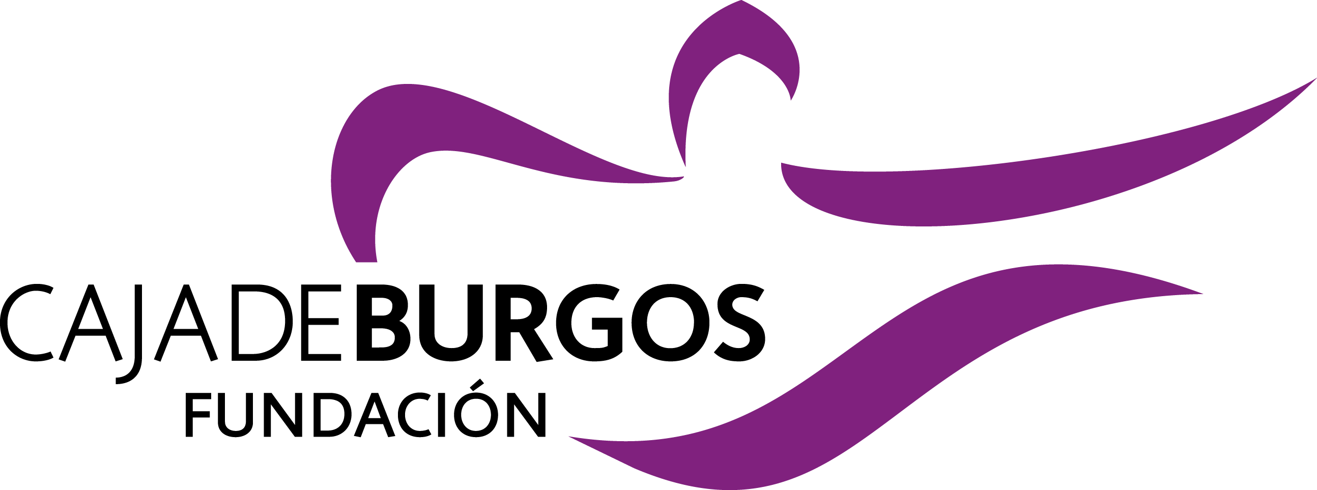 CAJA DE BURGOS, FUNDACIÓN BANCARIA