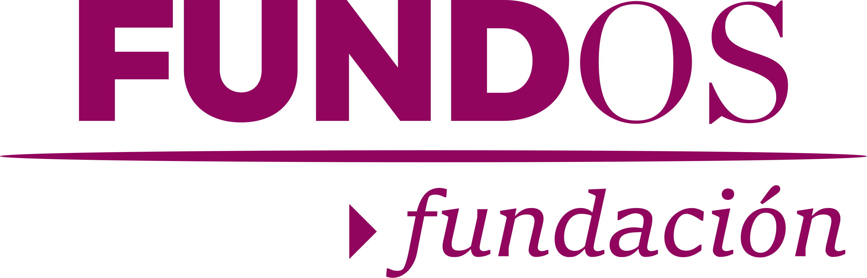 FUNDACIÓN OBRA SOCIAL DE CASTILLA Y LEÓN